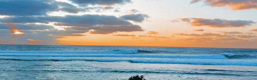 GNARALOO: Where the Desert Meets the Ocean